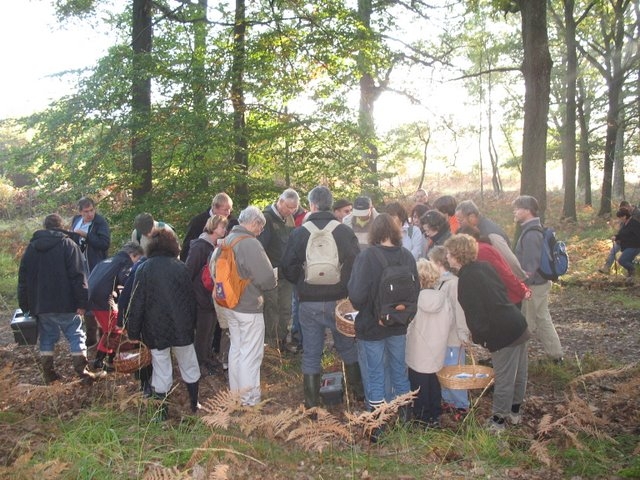 2007 10 Myco Pecqueuse 09